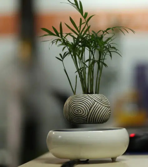 Creative Floating Potted Plant Decor